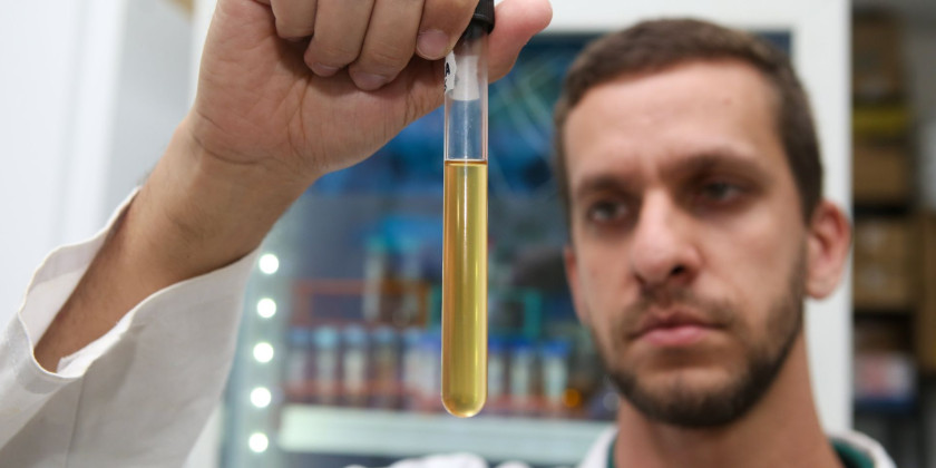 Homem de jaleco branco, em um laboratório, segura um tubo de ensaio de vidro na vertical. O tubo contém um líquido amarelo claro e transparente, e o homem o observa com atenção. Ao fundo, desfocado, percebe-se equipamentos e outros recipientes de um ambiente de pesquisa científica. Fim da descrição.